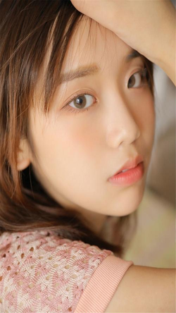 视频区图片区小说区综合展示